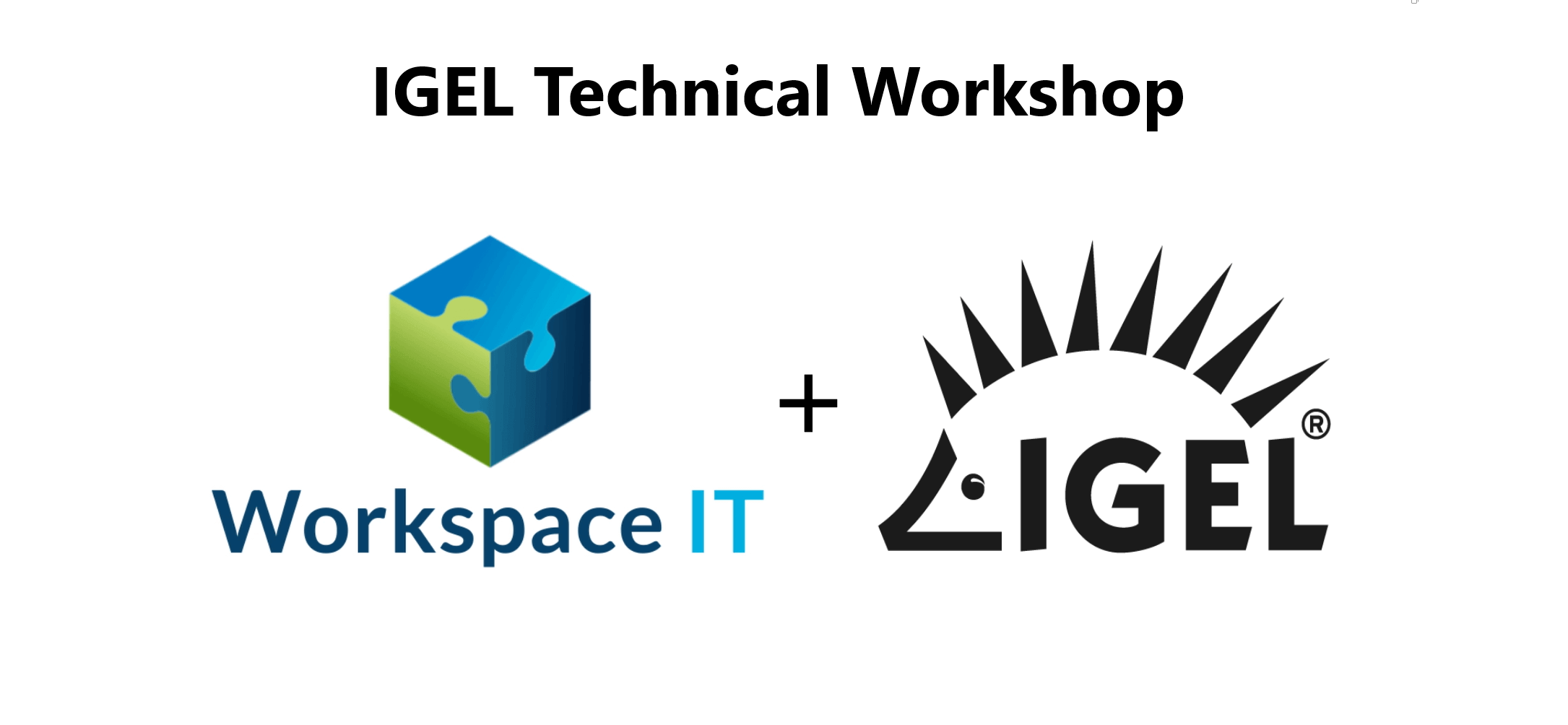 IGEL Technical Workshop
