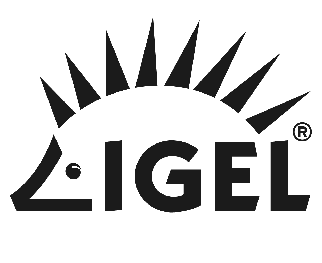 IGEL OS 11.08.200 – Released